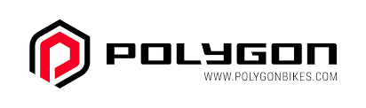 logo polygon